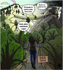 A graphic showing the RAD — Resist–Accept–Direct — framework for adaptation planning.