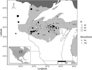 A map showing trends in walleye recruitment and stocking contributions across the Lake Mendota, Lake Monona, Lake Waubesa, and Lake Kegonsa system in Madison, Wisconsin. 